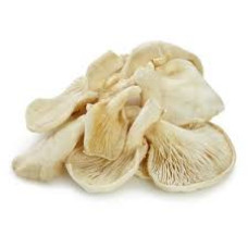 Oyster mushroom, loose